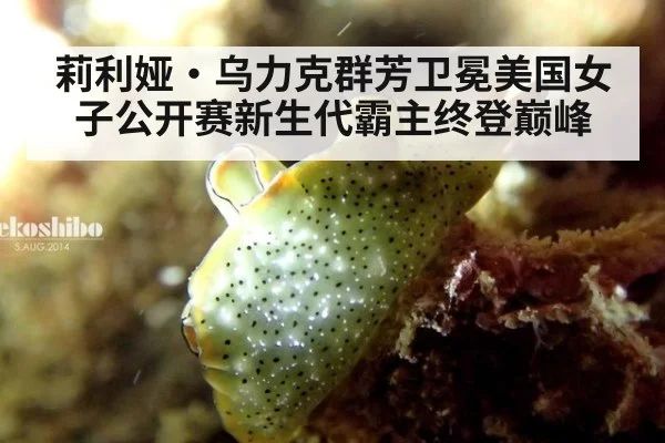 莉利娅·乌力克群芳卫冕美国女子公开赛新生代霸主终登巅峰